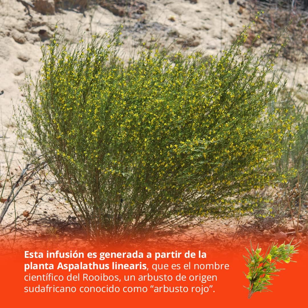 Viveza - Inspiración Frutal Infusión Rooibos con Canela y Manzana - Gran Alternativa al Té o al Café - Sin Teína - Caja por 15 Pirámides Ensobradas - 37,5 gr