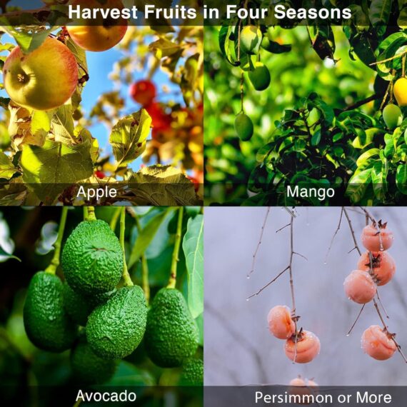 Herramienta de recogida de frutas 15.8FT